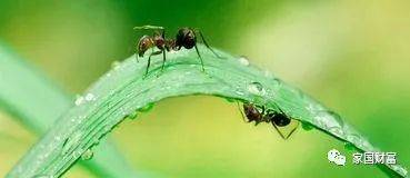 螞蟻集團(tuán) 從金融科技到多元科技生態(tài)的演進(jìn)與潛力