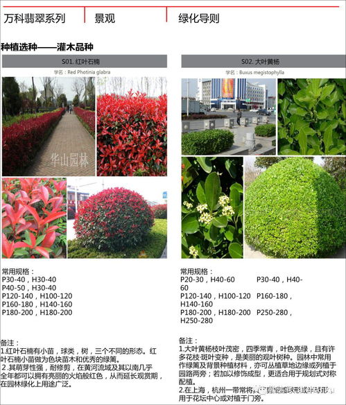 萬科翡翠系高端產品景觀技術標準及其在中草藥科技領域的應用啟示